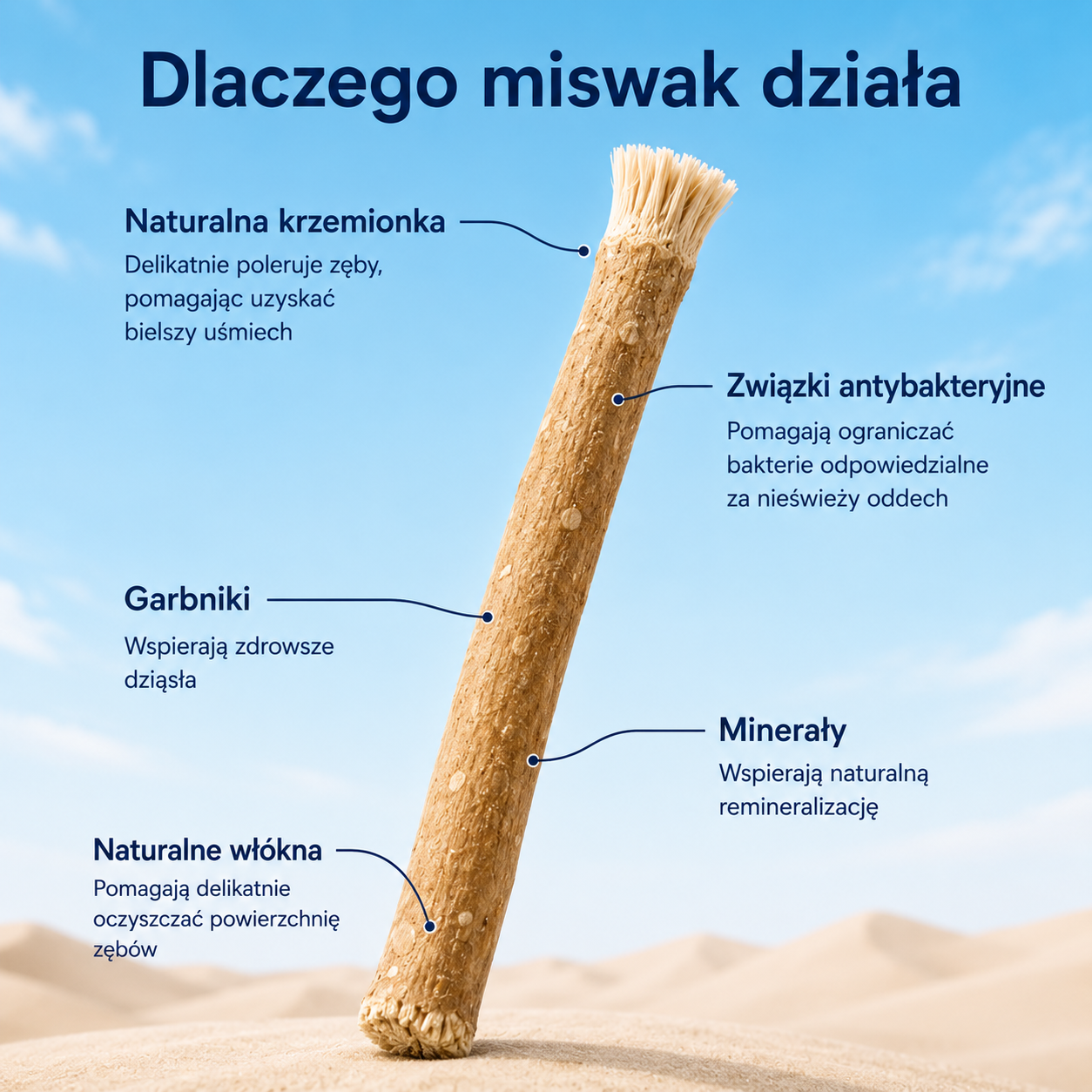 Dentara™